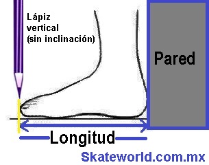 longitud del pie